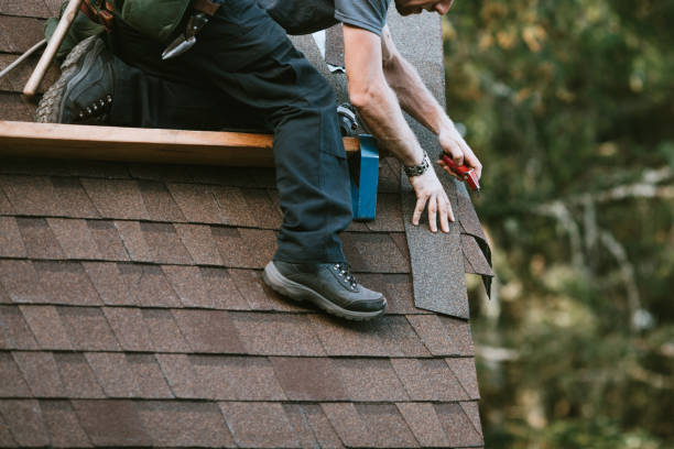 Best Roof Gutter Cleaning  in Madison, MS